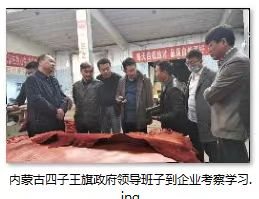 Government delegation visit · 政府考察